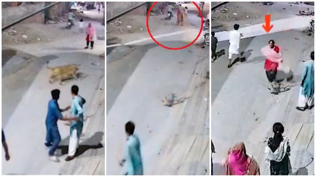 Lahore Lion Attacks in 2025
