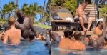 Shaquille O'Neal Pool Party