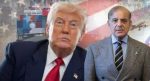 Trump Shehbaz Sharif meeting
