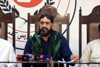Zulfikar Bhutto Jr new party