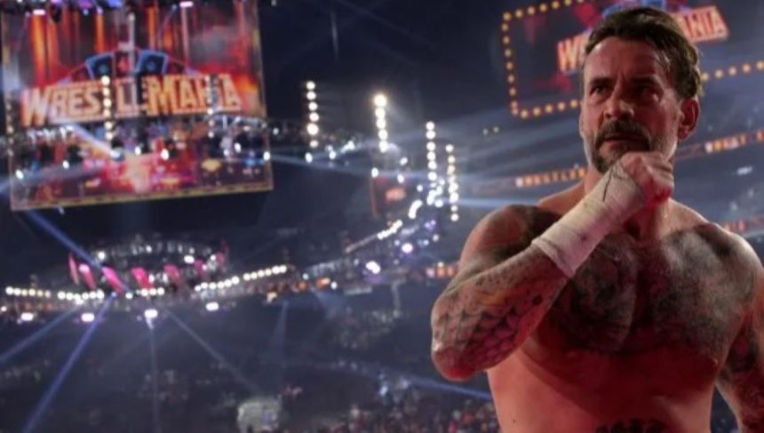 CM Punk net worth