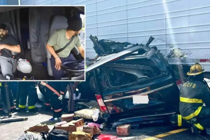 Indian trucker Florida crash