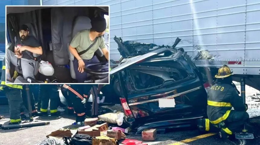 Indian trucker Florida crash