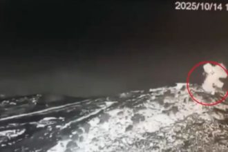 Pak Afghan Border Clashes