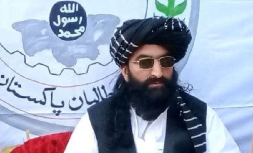 TTP Noor Wali Mehsud Killed in Kabul