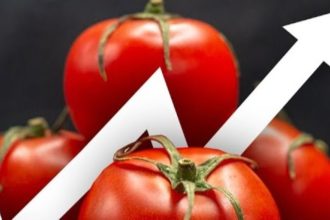 tomato prices Pakistan 2025