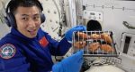 Space Station Tiangong BarBQ