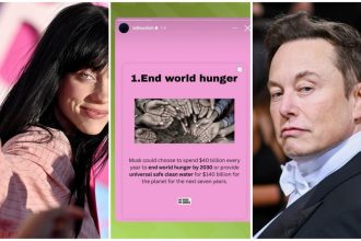 Billie Eilish Elon Musk