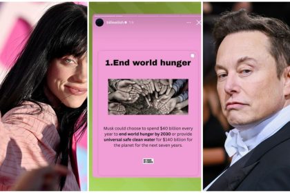 Billie Eilish Elon Musk