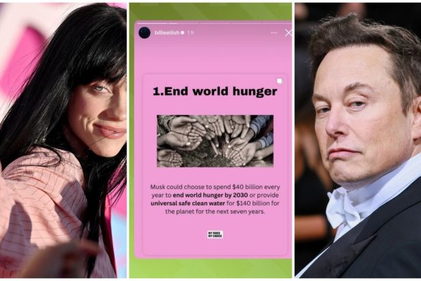 Billie Eilish Elon Musk
