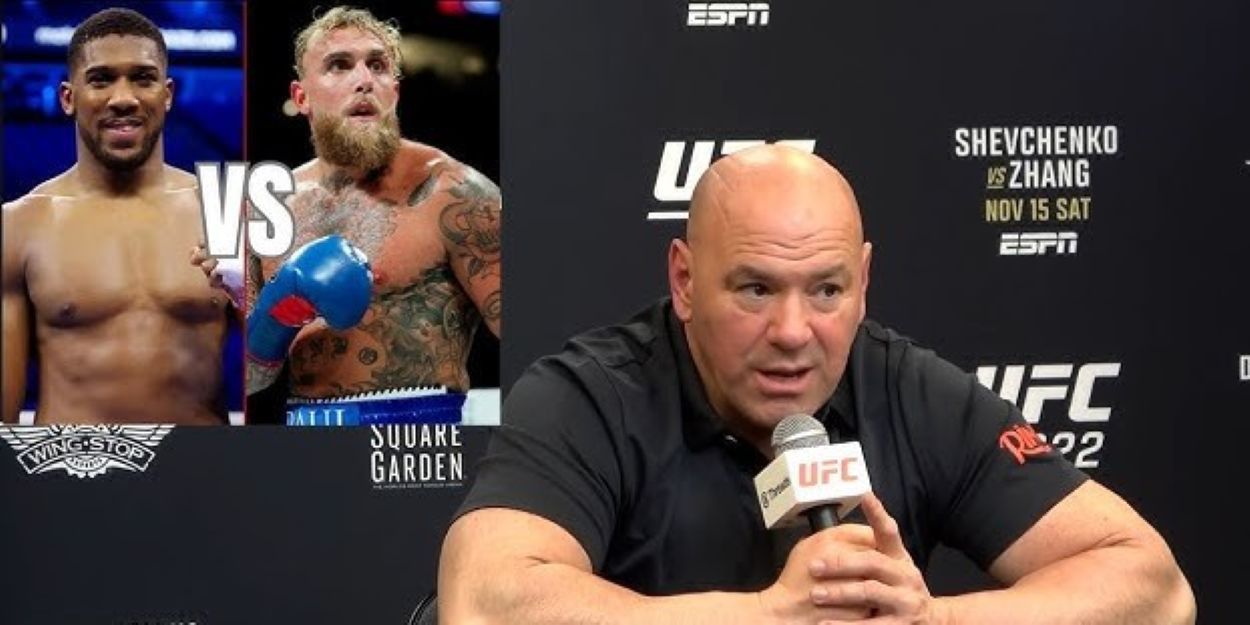 Dana White Paul-Joshua Fight