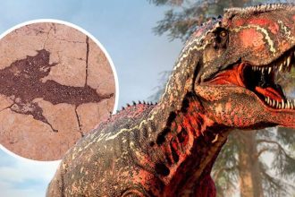 largest dinosaur footprint site Bolivia