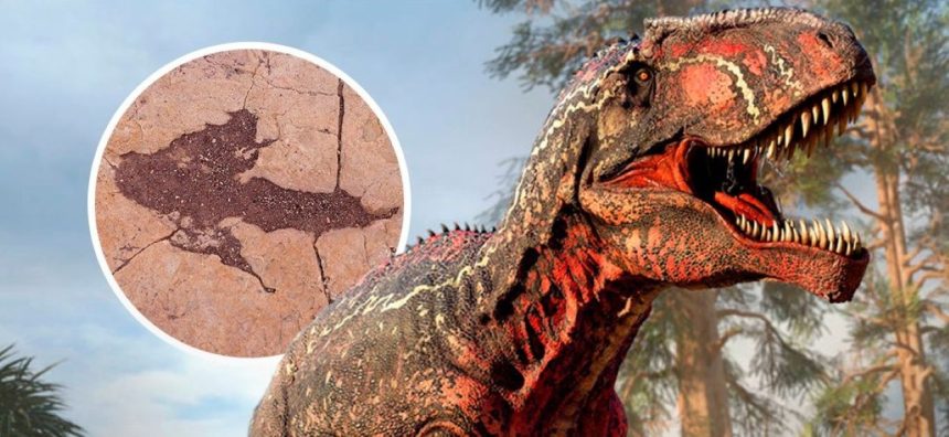 largest dinosaur footprint site Bolivia