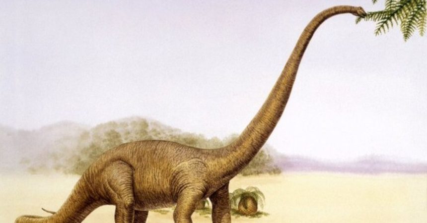 New Dinosaur Species in China Sheds Light on Jurassic Era Diversity