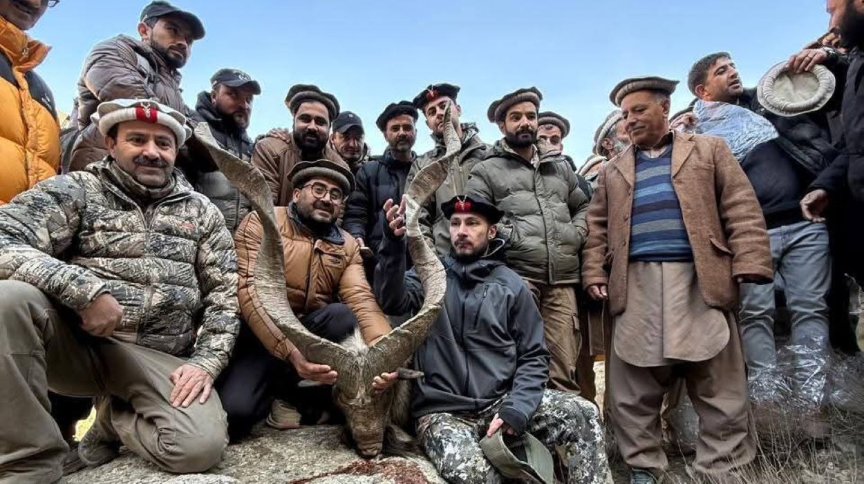 Kashmir markhor trophy hunting