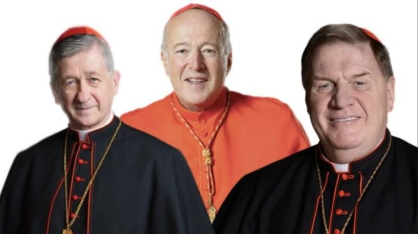 Cardinals Blaise Cupich, Robert McElroy, and Joseph Tobin