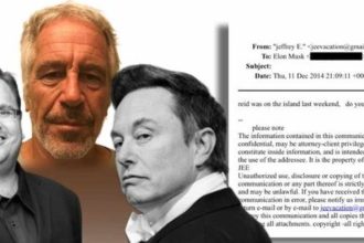 Elon Musk Reid Hoffman feud Over Epstein Files