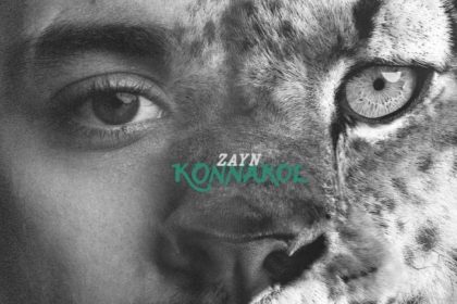 Zayn Malik Konnakol album