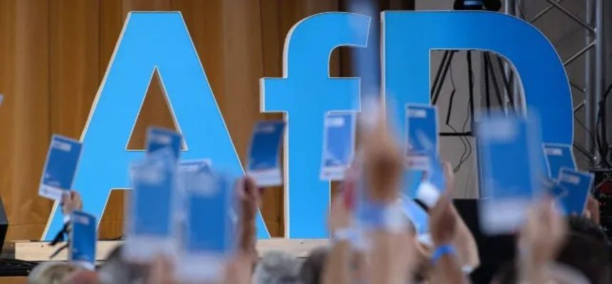 AfD Saxony-Anhalt delegates raise voting cards at a state party conference in Magdeburg, Germany.