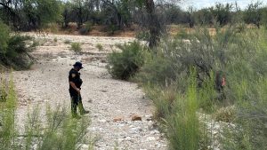 A Tucson police officer stands in a dry riverbed where human remains were found during a search for Nancy Guthrie.