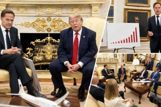 NATO Secretary-General Mark Rutte and President Donald Trump meet at the White House.