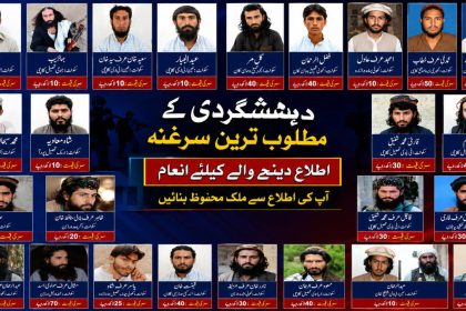 collage showing the Khyber Pakhtunkhwa government's list of 85 wanted militants in Dera Ismail Khan district, with individual photographs and announced cash rewards for information.