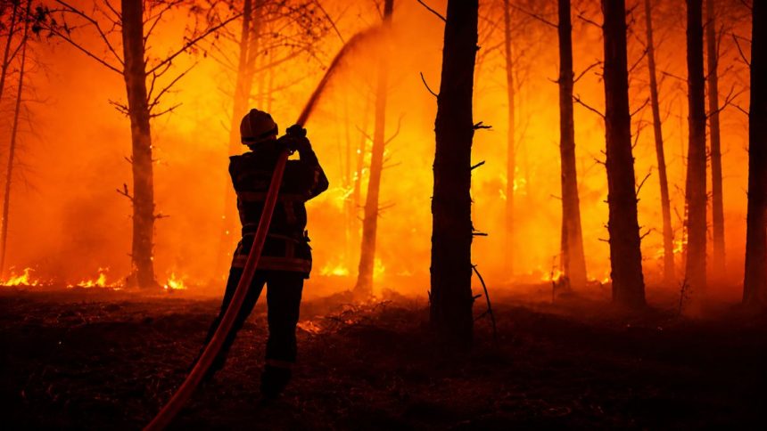 A firefighter sprays water on burning trees during a forest wildfire at La Teste-de-Buch in southwestern France on July 18, 2022. Image Credit: Gironde region (SDIS 33) via AP.