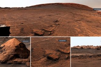 collage showing NASA’s Curiosity Mars rover discoveries, including the largest concentration of honeycomb-shaped fractures found in Valle Grande on Mars.