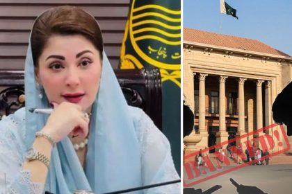 Maryam Nawaz and Punjab Assembly linked to proposed social media ban for under-16s