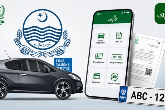 collage showing the Pak ID mobile app, NADRA logo, Punjab government emblem, a car, digital vehicle registration services, online driving license features, and a QR-enabled document.