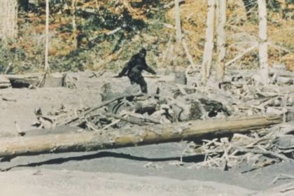 Filmmaker Marq Evans presents newly discovered footage related to the famous 1967 Bigfoot film.